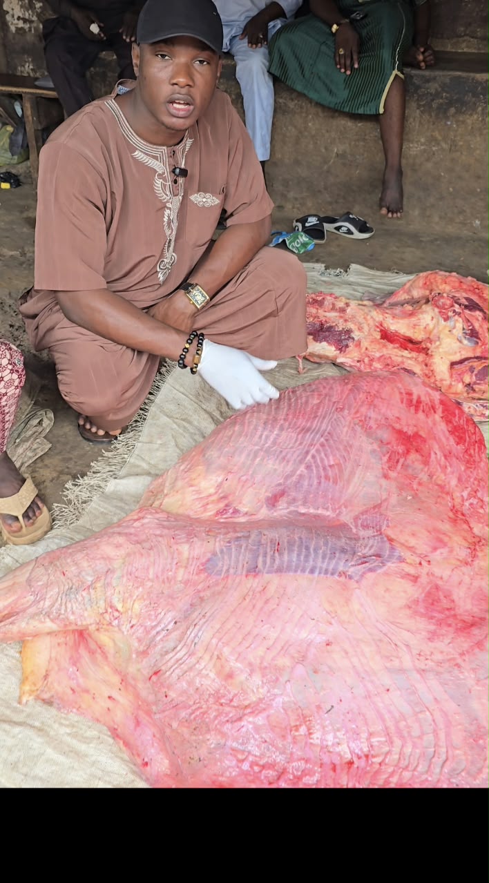 Direct Northern cattle flank inspection with master butchers